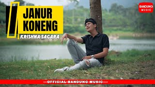 Download lagu JANUR KONENG - KRISHNA SAGARA [ BM] mp3