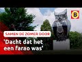 Heb jij het 'bosbeest' al gespot langs de snelweg? | Omroep Brabant