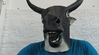 De ressaca por causa de Bolsonaro