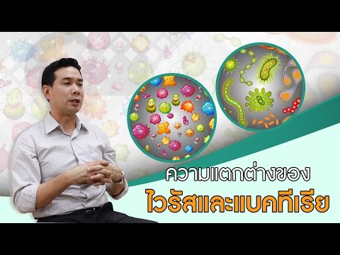 Bubnovsky ความอ่อนแอ ไวน์ที่มีทิงเจอร์กระเทียมแรง