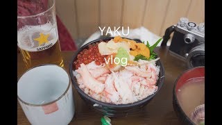 yaku vlog | hokkaido 2.0 | 在日中国人女子の日常 | 海鮮丼とジンキスカン=幸せな冬 |日本在住在中国女生的日常 | 北海道的海鲜盖饭烤羊肉和甜点 #VLOG