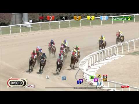170602 Busan 2R 1300m