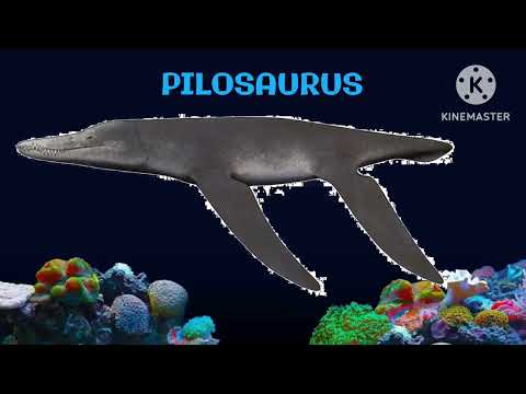 Prehistoric Sea Life 4 - @TheKidsPictureShow (reupload from @PeperoMascots )