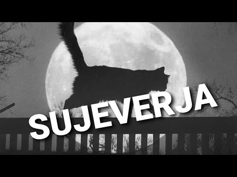 SUJEVERJA | Crna mačka se smatra predznakom djavola