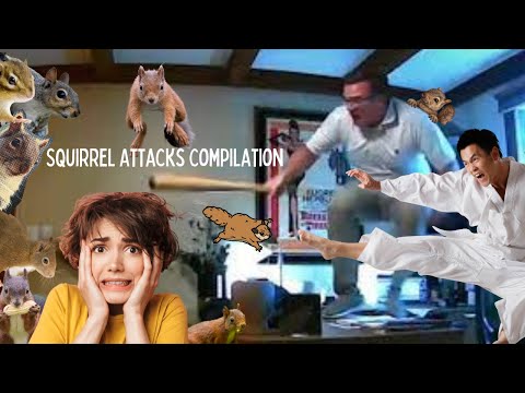 Squirrel Attack Compilation—Hilarity Ensues!