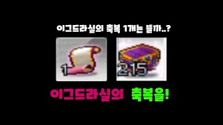 썸네일 이미지