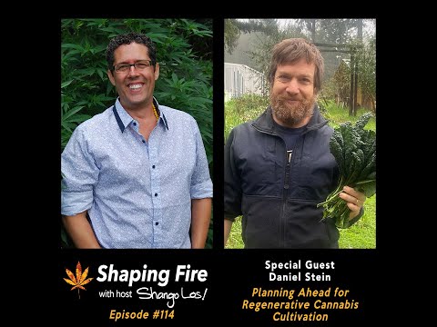 Shaping Fire EP114 - Planning Ahead for Regenerative Cannabis Cultivation with guest Daniel Stein
