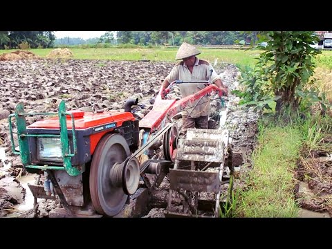 LUAR BIASA!! SIMBAH SIMBAH MASIH SANGGUP KENDALIKAN TRAKTOR SAWAH GARAP LAHAN LUAS