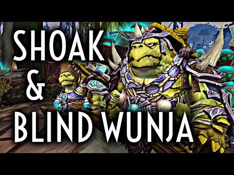WoW Guide - Shoak/Blind Wunja - Secret Pet Battle Vendors