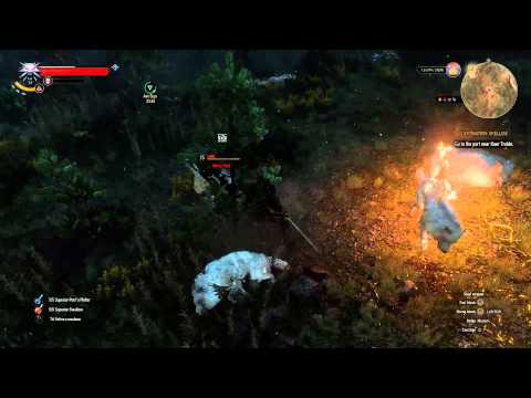 The Witcher 3 Wild Hunt (PC) Cheathrough - Pt. 115