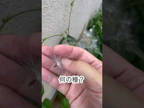 スローガーデニング、ケサコ？ 2023年、穏やかに楽しくガーデニングをするための「スローガーデニング」5原則  庭園