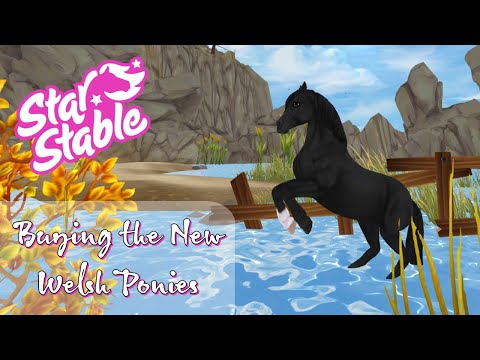 , title : 'Buying the New Welsh Ponies #1 | Star Stable Online'