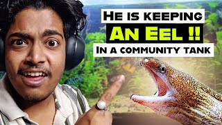 Reacting Your Planted Aquariums (Talking about Pressurized co2 and Balance) EP - 5