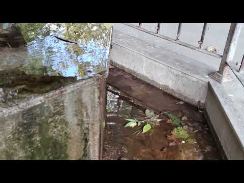 HUAWEI nova 10 Pro, Video Sample (Slow Motion)