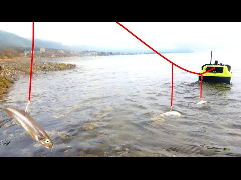 ラジコンボートでワカサギを琵琶湖に投入すると…