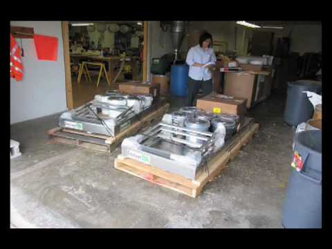 A couple of Em2 birds leave the nest.