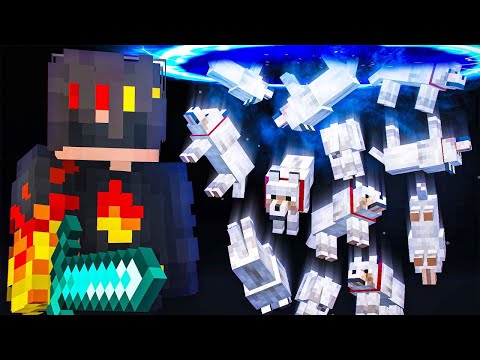 Minecraft Bedrock | Flamefrags Wolf Teleporter tutorial