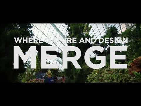 Experience Our Singapore