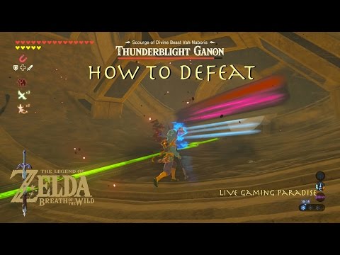 Breath of the Wild - ThunderBlight Ganon in 6 Minutes Guide