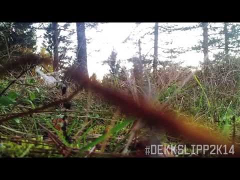 Olve, Gudrun, Trude, Kjell - Dekkslipp