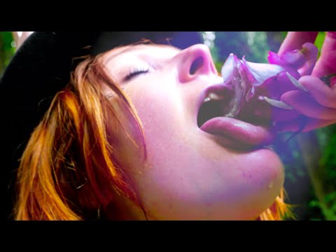 MGNA CRRRTA - PÜR LOVE