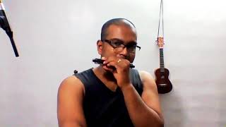 Video thumbnail for Suzuki Winner Tremelo Harmonica - Jamming by The Monk 007
