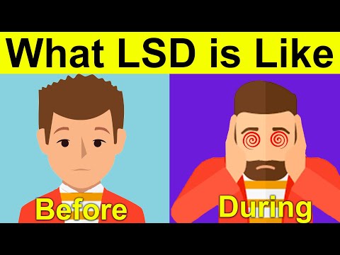 What is LSD Like? (Crazy Acid Trip Experience)