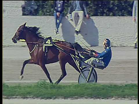 Trotto 02/04/2018 - 5ª corsa