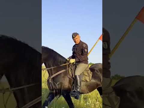 NPTV Wojciech Olszański (Marcin Osadowski) - Kraków 2023 (Wiec Kamracki) #SHORTS