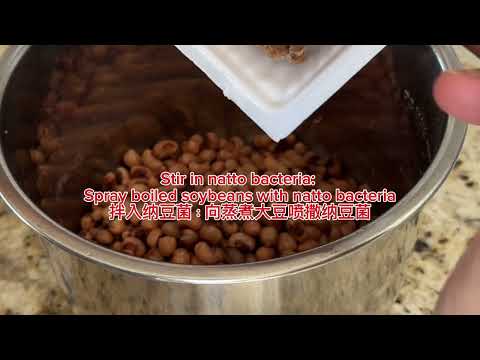 Homemade Natto Using an Instant Pot: Easy and Delicious