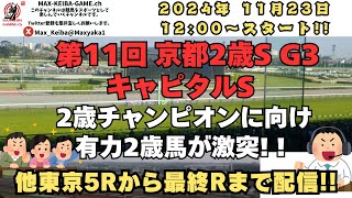2024年 11月23日 第11回 京都2歳S G3 東京5Rからレース実況配信