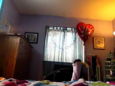 The Puppets: Sing Can Can