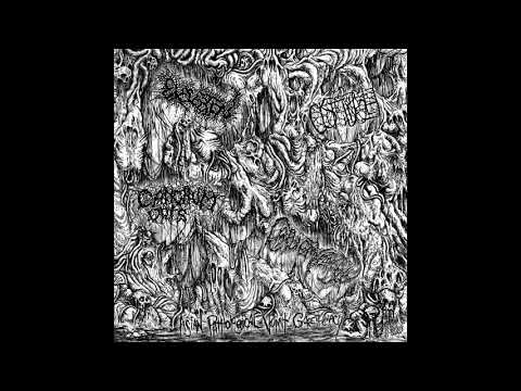 CYSTGURGLE - Discolored Abdominal Cavity I 『spectacular quality』