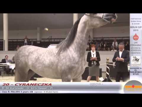 Berlin Cup Werder 2015 - Fillies 3 years old (Class 5) - N.20 CYRANECZKA