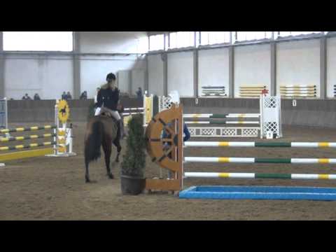 Calanda 6-jährig (C-Treton Z x Locato)