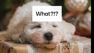 Jaci Velasquez feat  Alvin &amp; The Chipmunks  The Chipmunk Song  Christmas Don&#39;t Be Late Lyric Video