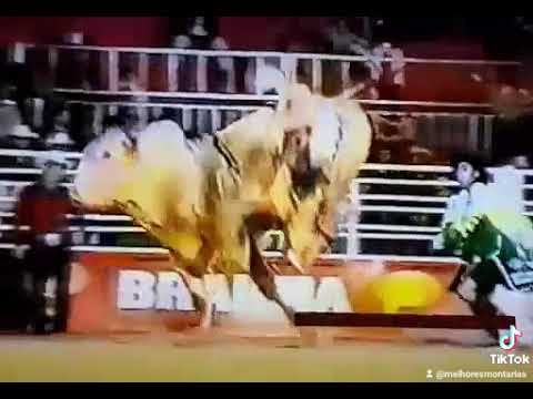 MARCELO RIBEIRO BARBOSA - RODEIO DE BARRETOS 2001