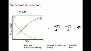 Enzimas - Biología Celular y Tisular