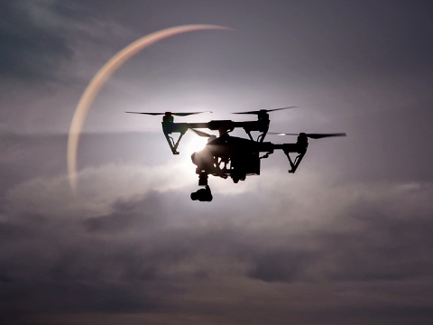 Barza albă. Cărpiniș, județul Timiș