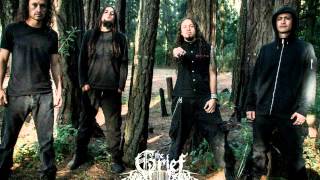 The Grief    /    Messiah of Grief