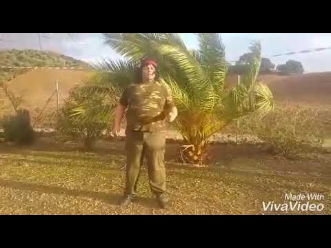 John Rambo (Fran Imitaciones)