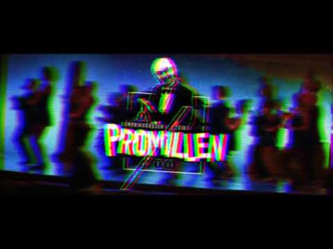 PROMILLEN 2018 - ROBIN VEELA FT. BENJAMIN BEATS