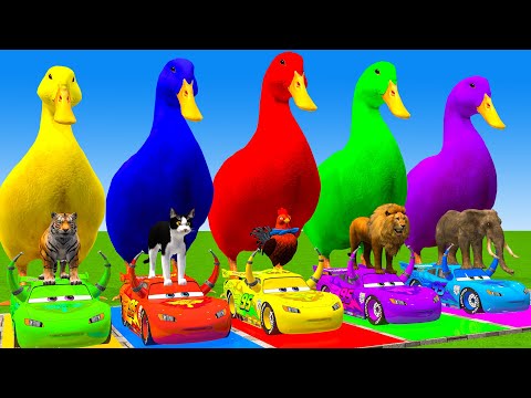 5 Giant Duck Cartoon,Cow,Elephant,Tiger,Lion,Dinosaur,Paint Wild Animals Crossing Fountain Animation