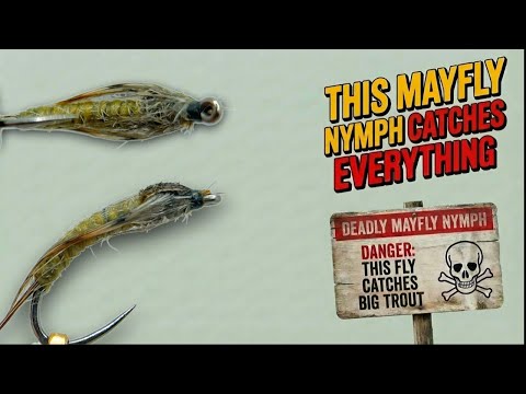 Easy Mayfly Nymph for More Fish in Small Rivers! - Fly Tying Tutorial
