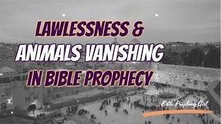 Lawlessness & Animals Vanishing in Bible Prophecy