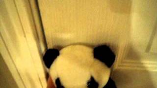 Evil Panda Bear MUSIC VIDEO ( 27- Breaking Point )
