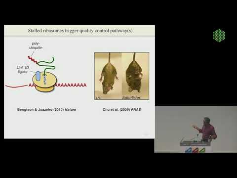 EMBL Keynote Lecture - Quality Control of Nascent Proteins, Ramanujan Hegde