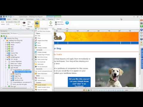 How to Publish a SCORM Compliant Lectora Course to an LMS
