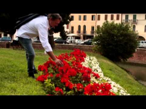 MARCO & IL CLAN - ROSSE ROSE (VIDEO UFFICIALE)