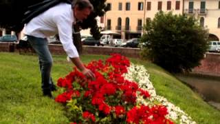 MARCO &amp; IL CLAN - ROSSE ROSE (VIDEO UFFICIALE)